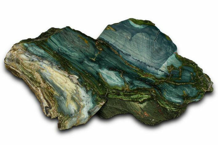 Polished Gary Green Jasper (Larsonite) Bog Wood Section - Oregon #371000